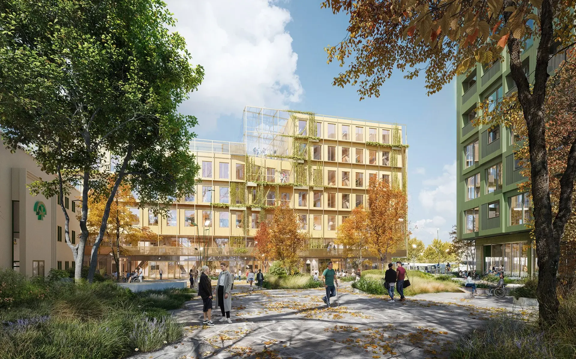 Diakonhjemmet Campus: campusgaten med høsttrær.