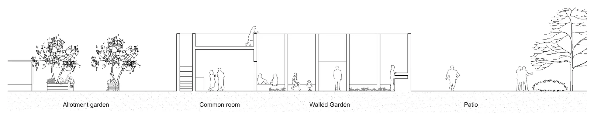 The Walled Garden: snitt gjennom fellesrommet og den inngjerdede hagen.